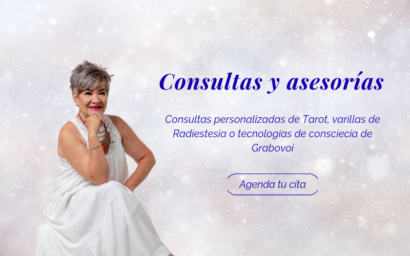 Header website (7)
